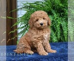 Image preview for Ad Listing. Nickname: Hugo