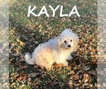 Image preview for Ad Listing. Nickname: Kayla