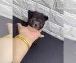 Image preview for Ad Listing. Nickname: YooYoo