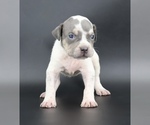 Image preview for Ad Listing. Nickname: Roulette
