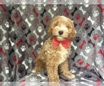 Image preview for Ad Listing. Nickname: Spud