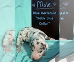 Image preview for Ad Listing. Nickname: Light blue