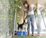 Small #1 Mutt