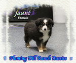 Image preview for Ad Listing. Nickname: Jaunt