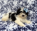 Image preview for Ad Listing. Nickname: Darlin