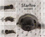 Image preview for Ad Listing. Nickname: Starfire