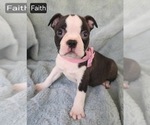 Image preview for Ad Listing. Nickname: Faith
