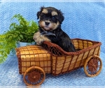 Image preview for Ad Listing. Nickname: MIDNIGHT