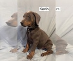 Image preview for Ad Listing. Nickname: Kevin