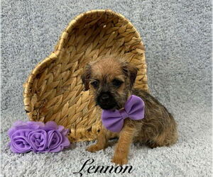Chihuahua-Unknown Mix Dogs for adoption in Grafton, WI, USA