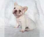 Image preview for Ad Listing. Nickname: Rosie