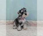 Image preview for Ad Listing. Nickname: Diva