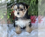 Image preview for Ad Listing. Nickname: Madlyn