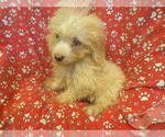 Image preview for Ad Listing. Nickname: RUNTZ