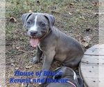 Image preview for Ad Listing. Nickname: Blue Male