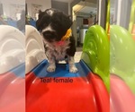 Image preview for Ad Listing. Nickname: Miss Teal