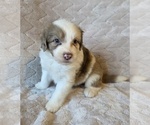 Image preview for Ad Listing. Nickname: Andie