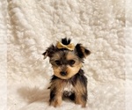 Image preview for Ad Listing. Nickname: Ella teacup