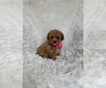 Image preview for Ad Listing. Nickname: Rosa