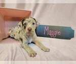 Image preview for Ad Listing. Nickname: Maggie