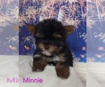 Image preview for Ad Listing. Nickname: Minnie
