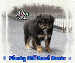 Image preview for Ad Listing. Nickname: Alba