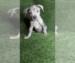 Image preview for Ad Listing. Nickname: Sky