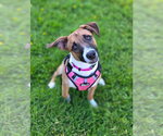 Small #3 Breeder Profile image