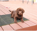 Image preview for Ad Listing. Nickname: Skye