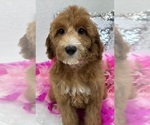 Image preview for Ad Listing. Nickname: Pink girl