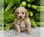Image preview for Ad Listing. Nickname: Collin