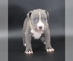 Image preview for Ad Listing. Nickname: Esther