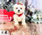 Image preview for Ad Listing. Nickname: Gorgeous Gloria