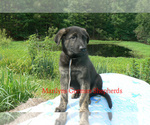 Image preview for Ad Listing. Nickname: Mr At The Beach