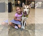 Small #5 Huskies  Mix