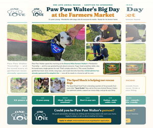 Mutt Dogs for adoption in Mount Laurel, NJ, USA