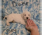 Small #30 Chizer