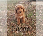 Image preview for Ad Listing. Nickname: Susan