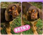 Image preview for Ad Listing. Nickname: BETSY