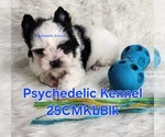 Image preview for Ad Listing. Nickname: 25CMMKbBlkBoy