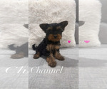 Image preview for Ad Listing. Nickname: Channel