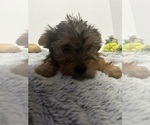 Image preview for Ad Listing. Nickname: Mr Big