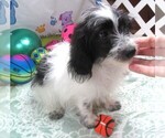 Image preview for Ad Listing. Nickname: Banjo