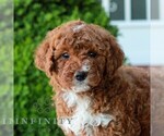 Image preview for Ad Listing. Nickname: Mitchell