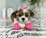 Image preview for Ad Listing. Nickname: Sally