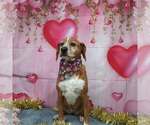 Small #2 Breeder Profile image
