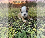 Image preview for Ad Listing. Nickname: 8th Female