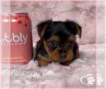 Image preview for Ad Listing. Nickname: Tiffany