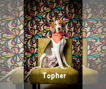 Small #3 Breeder Profile image