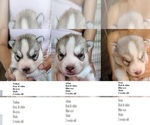 Image preview for Ad Listing. Nickname: Nathan